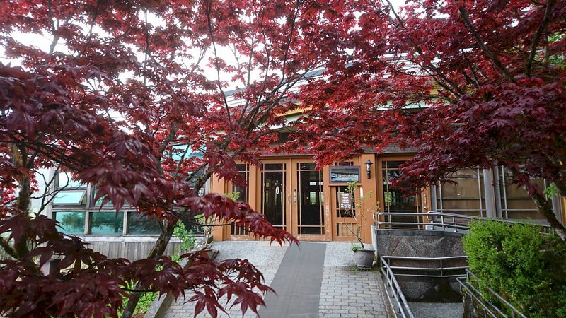 Daun Maple Acer Maximowiczii di Gunung Taiping Yilan Memerah Hingga September