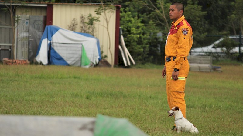 Presiden Tsai: Jangan Dipolitisir, Adopsi Star Dog Rescue Sesuai Prosedur