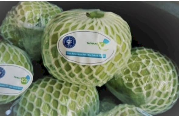 “Jambu Kristal” Taiwan yang Diperkenalkan oleh Misi Teknik Pertanian Taiwan Berhasil Memasuki Pasar Indonesia dan Sangat Diminati oleh Masyarakat Indonesia.