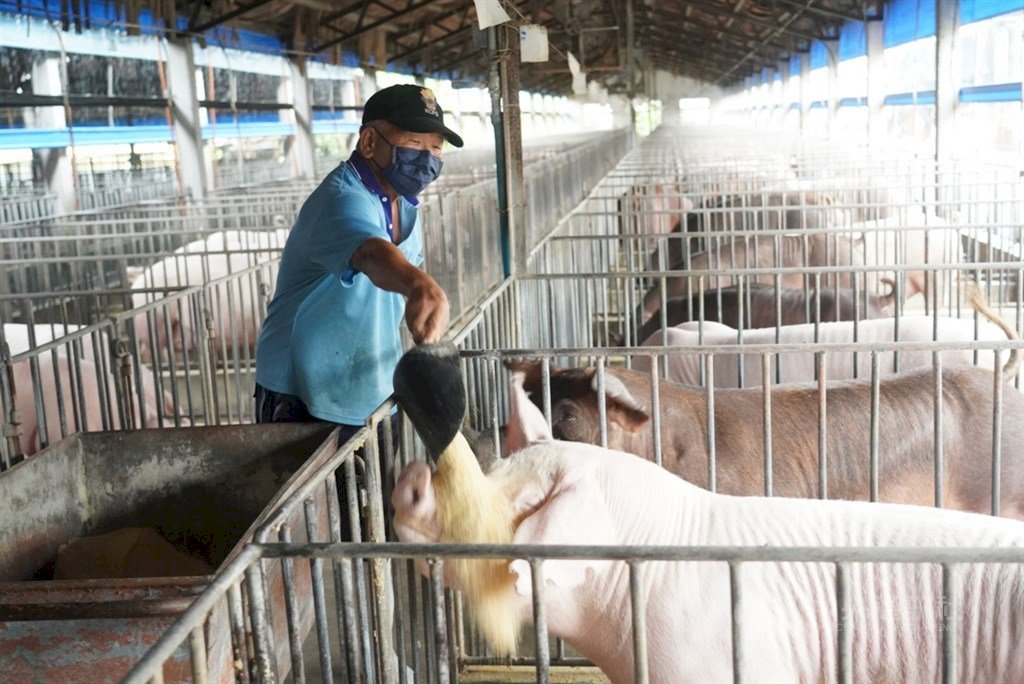 Tim Peduli Lingkungan Ragukan Kebijakan Pengolahan Limbah Dapur
