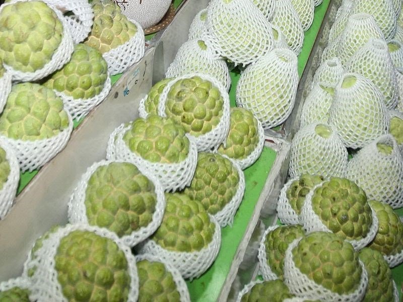 RRT Larang Impor Srikaya, Jambu Air Taiwan, PM Su: Mencari Solusi Terbaik Bagi Produk Pertanian Taiwan.