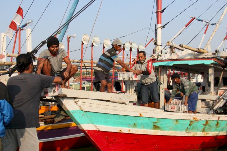 Kemenko Marves-ILO Susun Regulasi Lindungi Pelaut Indonesia