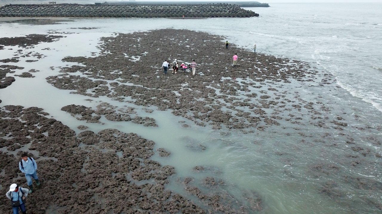 Terumbu Alga Berada dalam Cakupan 5 KM Lepas Pantai Datan? Kemenko: Berdasarkan Ilmiah hanya 2KM