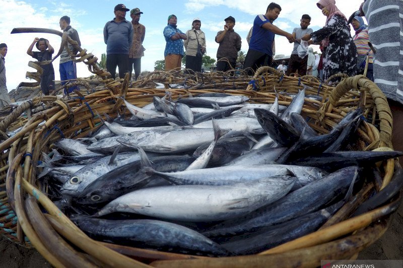 Kuota Penangkapan Ikan, KNTI: Lindungi Wilayah Tangkap Nelayan Kecil