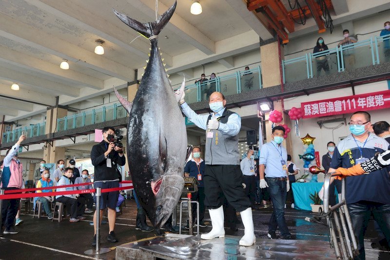 “Ikan Tuna Yilan Pertama” Nilai Lelang Dipatok NT$ 1,9 Juta