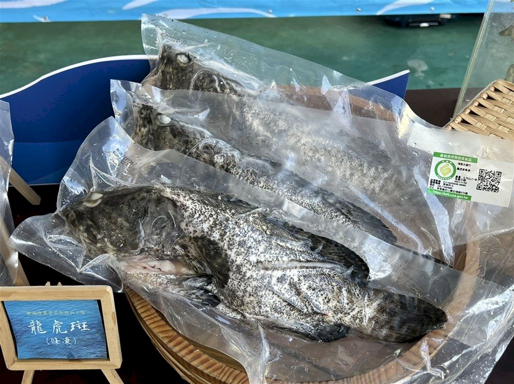 DPP: Larangan Impor Ikan Kerapu Taiwan Adalah Manipulasi Politik Melalui Pertanian dari Tiongkok