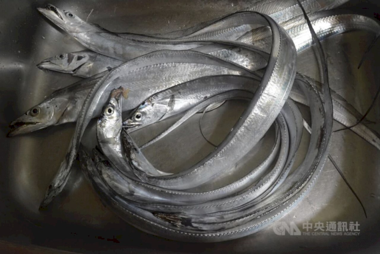 RRT Larang Impor Ikan Kerapu, Ikan Layur Taiwan, Yuan Eksekutif: Politik Semestinya Tidak Mencampuri Urusan Ekonomi