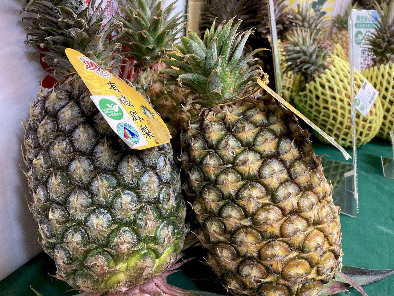 Chen Chi-chung: Walau Jumlah Ekspor Nanas Masih Kurang 30%, Namun Yang Terpenting Petani Telah Terlindungi
