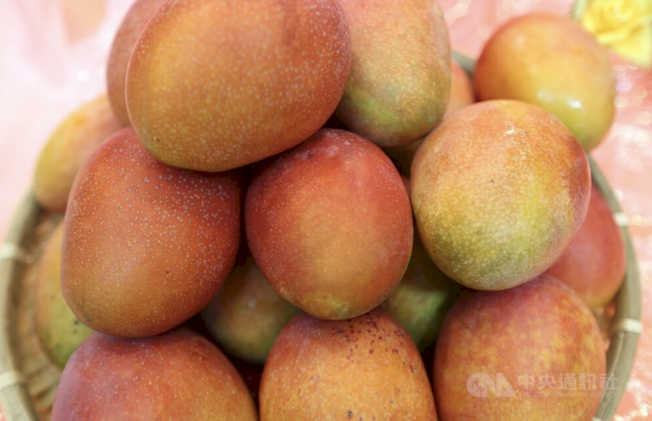 Hongkong Sebut Mangga Taiwan Mengandung Virus COVID-19, COA: Tidak Ada Bukti Ilmiah