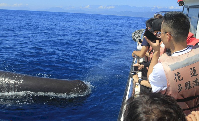 Revitalisasi Wisata Hualien – Taitung setelah gempat dashyat 18 September