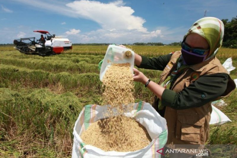 Anggota DPR RI Berharap PTPN Berkontribusi Wujudkan Ketahanan Pangan