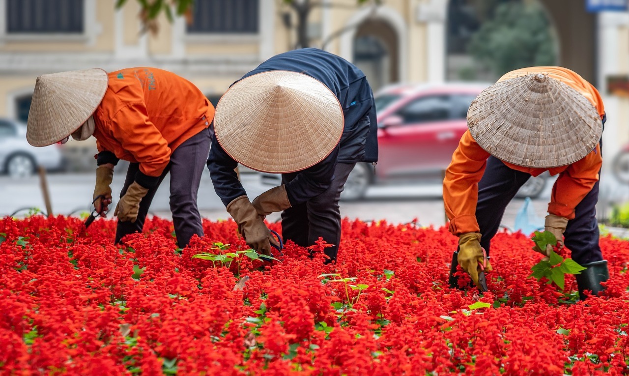 Dalam 2 Bulan, Hampir 30 Ribu Tenaga Kerja Vietnam ke Luar Negeri, Separuhnya ke Taiwan