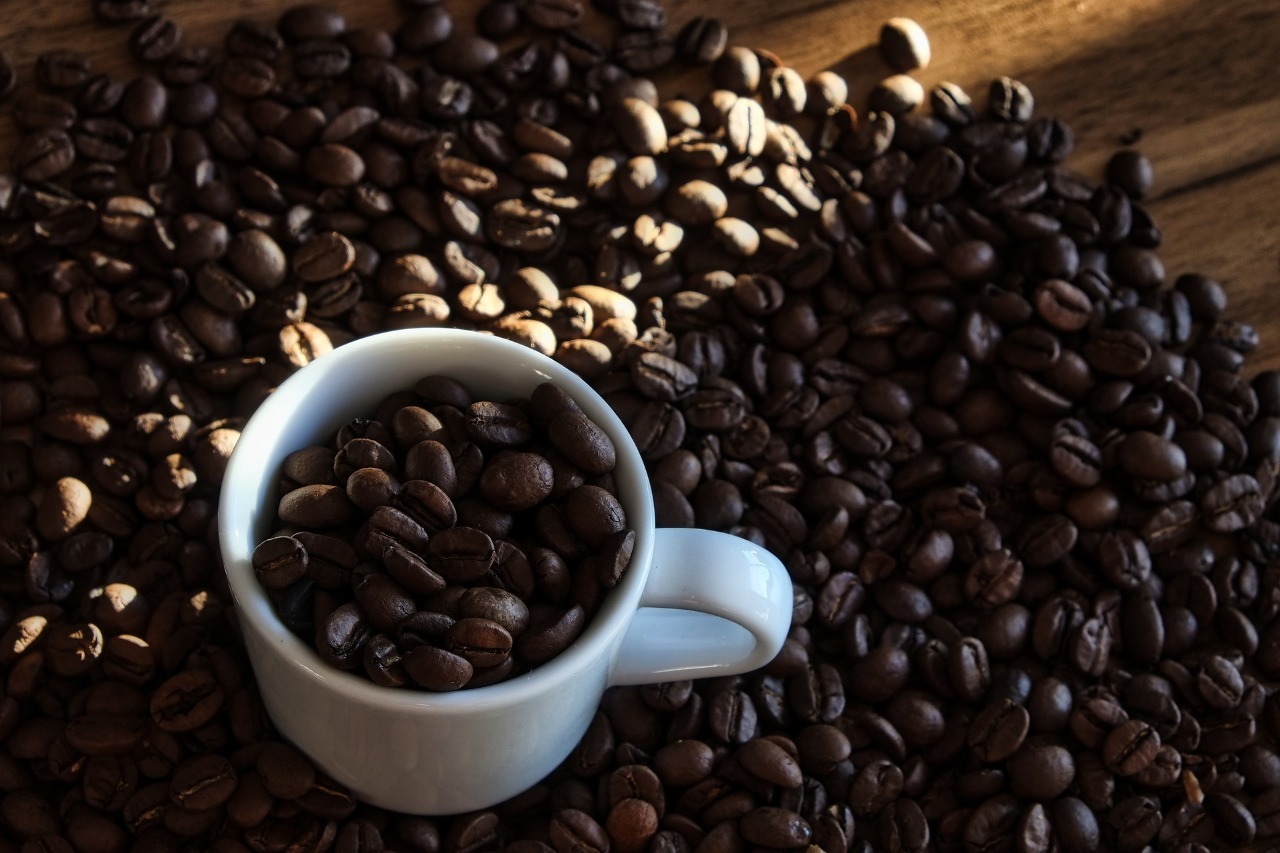 Cup of Excellence Hadir, Kopi Lokal Taiwan Terhubung dengan Dunia Internasional