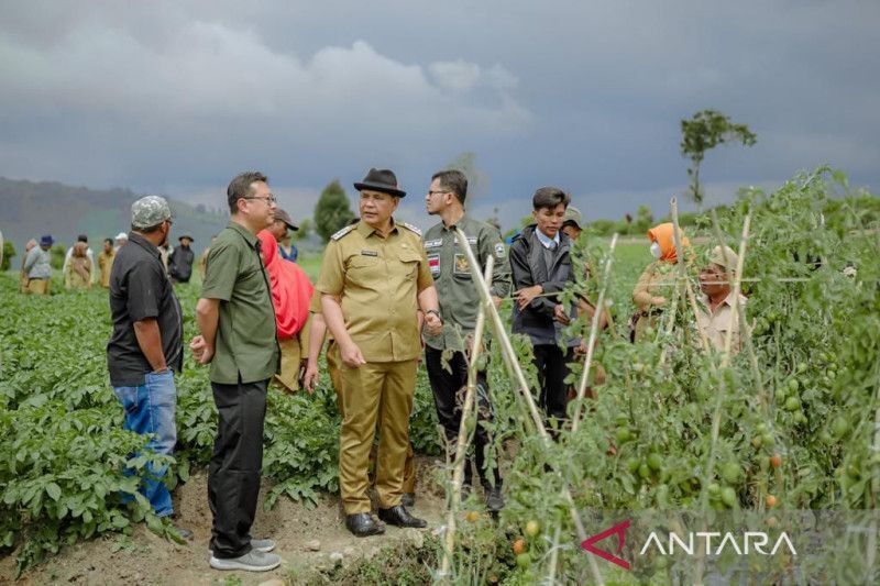 Pertumbuhan Ekonomi Naik dan Kemiskinan Turun di Kabupaten Solok