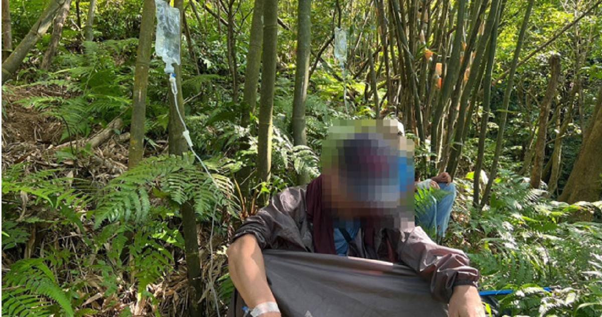 20 Pendaki Gunung Diserang Sekawanan Tawon, 4 Luka Berat, 2 Meninggal Dunia