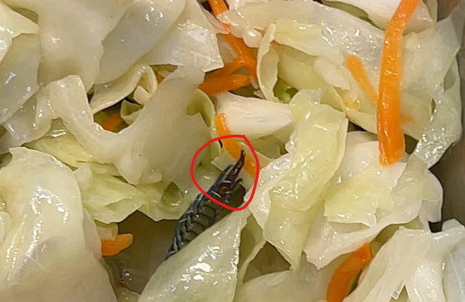 Semangat Ambil “Udang” saat Makan Siang, Ternyata Kelabang