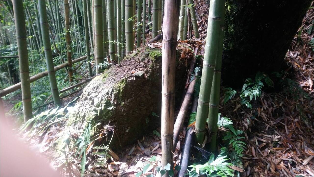 Jurnal Maria 週記BacaBuku 讀書會 cerita jalan tuaSyakaro Historic Trail 4台灣古道4霞喀羅古道