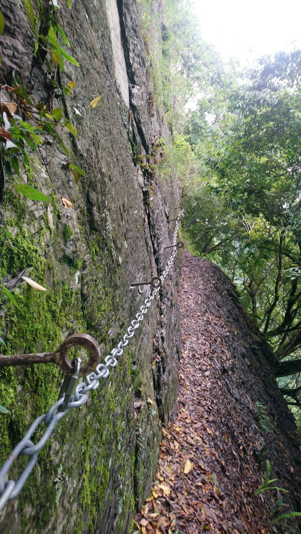 Jurnal Maria 週記BacaBuku 讀書會Syakaro Historic Trail 台灣古道2霞喀羅古道