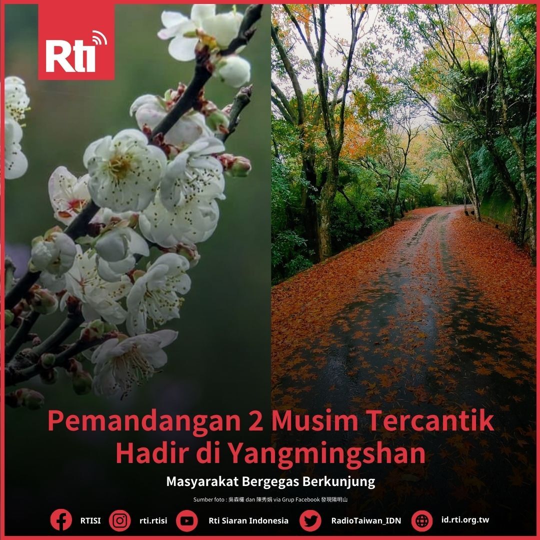 Pemandangan 2 Musim Tercantik Hadir di Yangmingshan, Masyarakat Bergegas Berkunjung