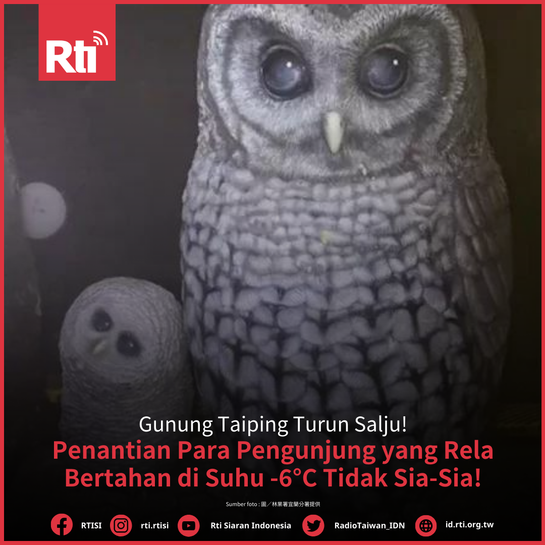 Gunung Taiping Turun Salju! Para Pengunjung Rela Bertahan di Suhu -6°C Guna Dapat Melihat Salju!