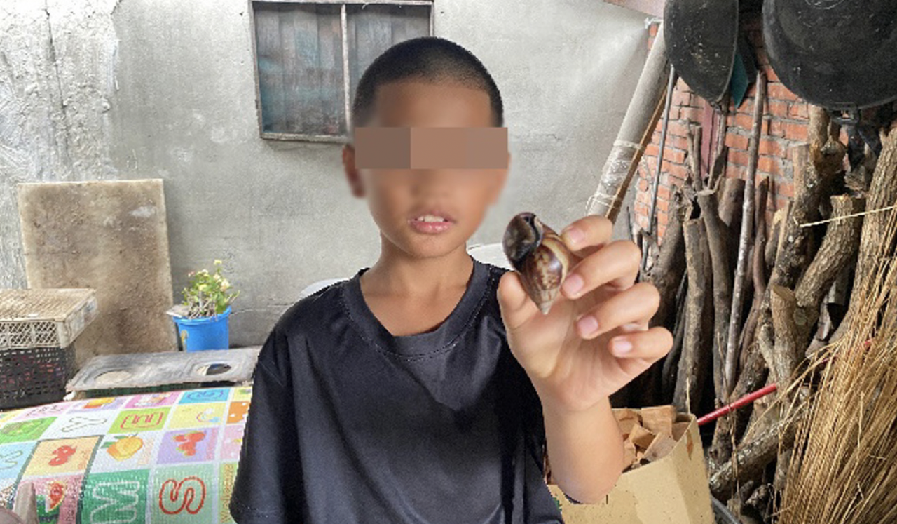 Anak Usia 10 Tahun Cari Siput Untuk Pengobatan Kakeknya