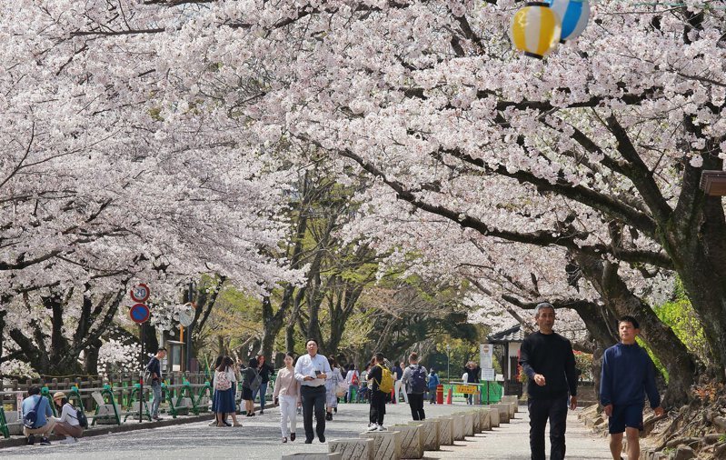 Setiap 3 Warga Taiwan yang Keluar Negeri, 1 Di antaranya Menuju ke Jepang, Total Warga Taiwan yang Jalan-jalan ke Jepang Mencapai 3 Juta