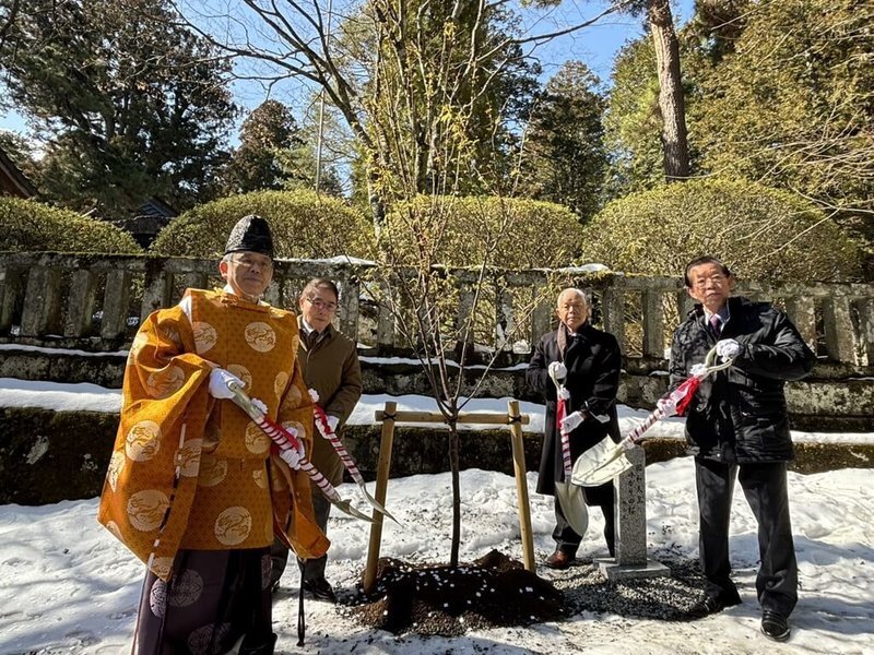 Sakura yang Ditanam Putra Mahkota Jepang Seabad Lalu Kembali ke Jepang, Memperkuat Persahabatan Taiwan-Jepang