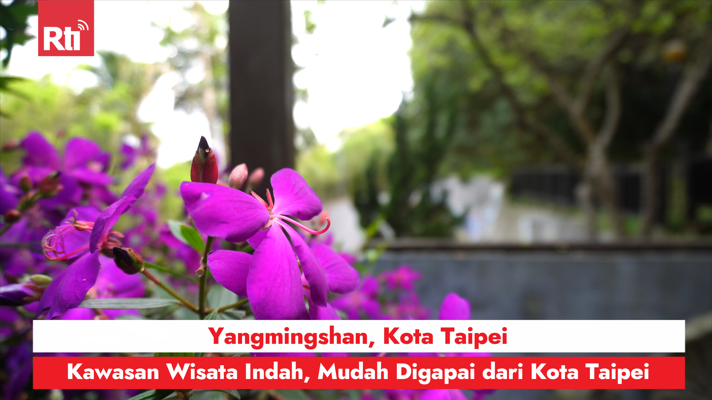 Yangmingshan, Kota Taipei, Kawasan Wisata Indah, Mudah Digapai dari Kota Taipei