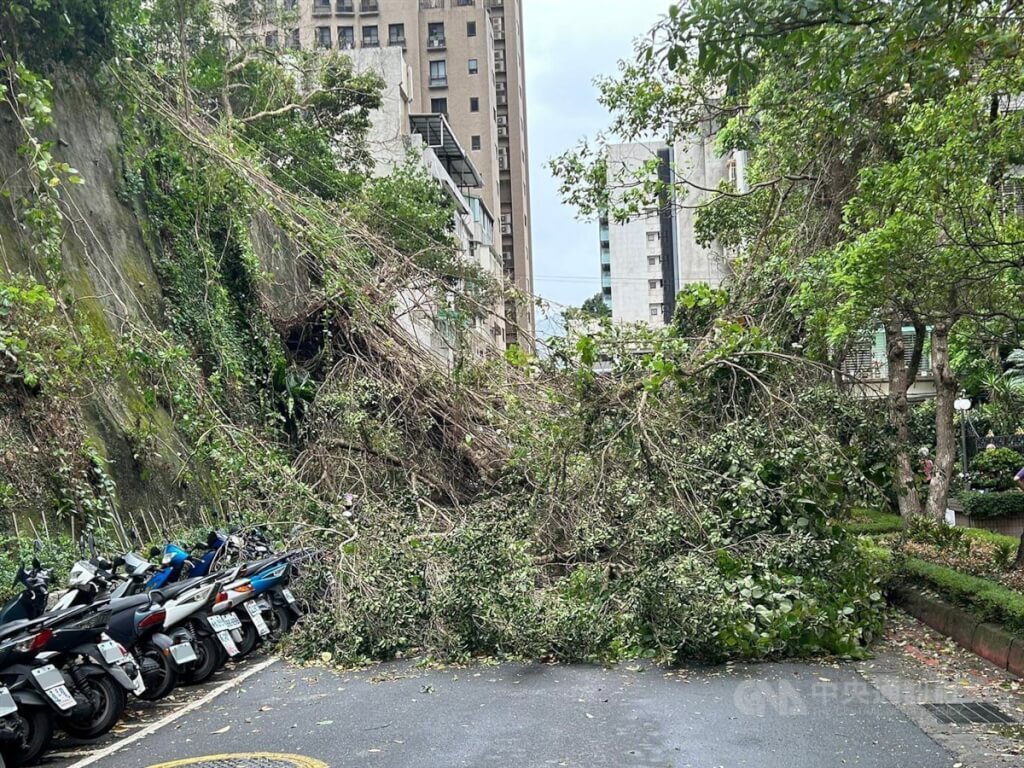 Front Cuaca Membawa Angin Kencang dan Hujan Deras, 38 Kerusakan Darurat dan 3 Luka Ringan Dilaporkan Terjadi di Kota Taipei