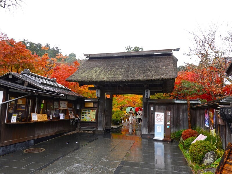 Belanja Wisata di Jepang Tahun 2023 Mencapai Rekor Tertinggi Baru, Taiwan di Peringkat Pertama