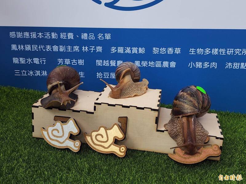 Lomba Lari Siput di Fenglin, Hualien, Penyelenggara: 5 Tahun untuk Mencapai Garis Finis! Rekor Juara Pertama Terungkap
