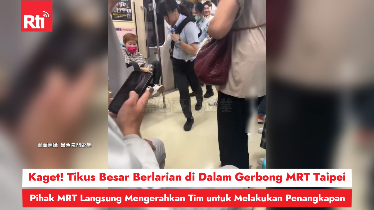Kaget! Tikus Besar Berlarian di Dalam Gerbong MRT Taipei, Pihak MRT Langsung Mengerahkan Tim untuk Melakukan Penangkapan