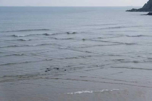 Panorama Laut Menakjubkan Ini Ternyata Menyimpan Bahaya, Ahli: Segera Lari Jika Melihatnya!