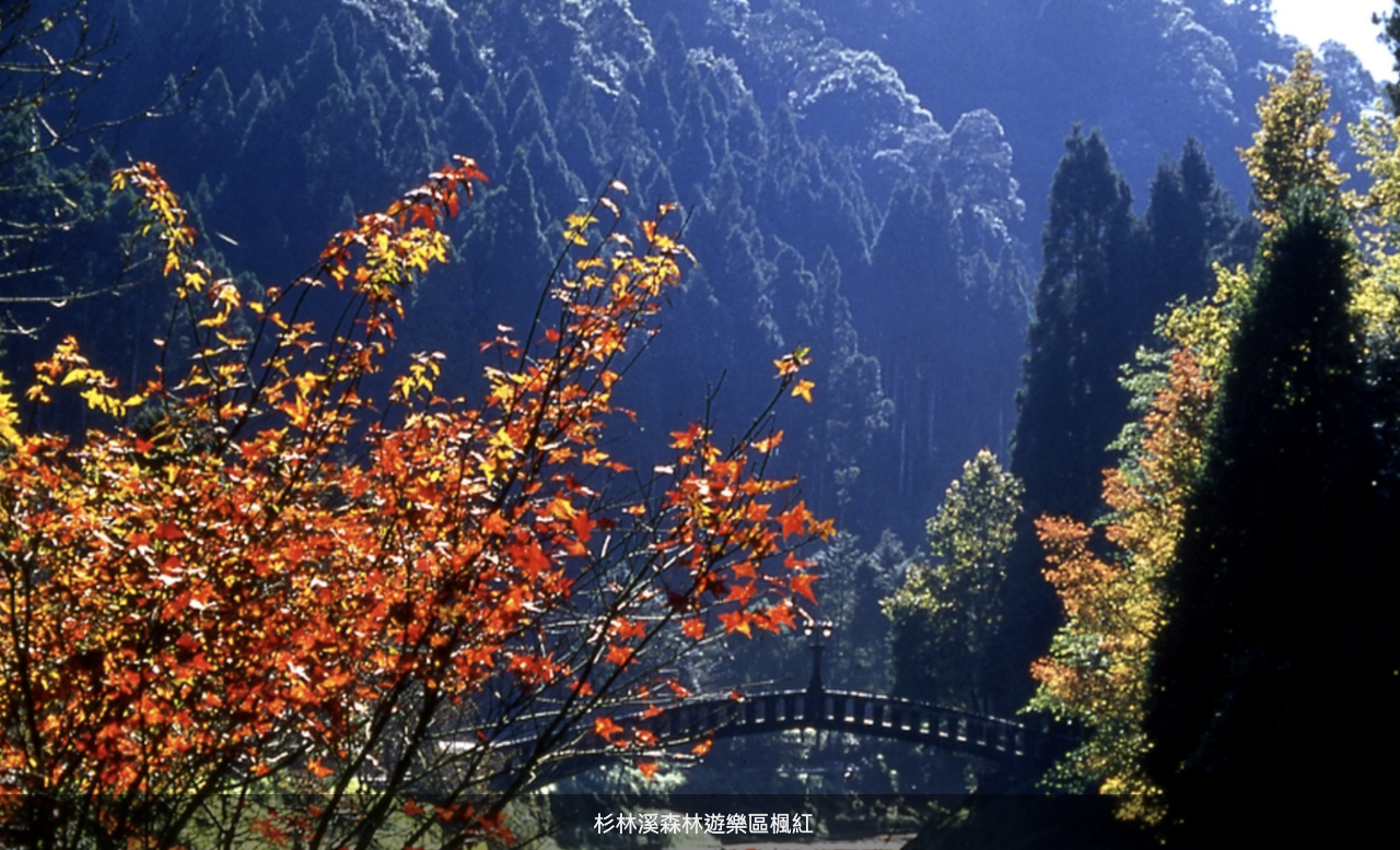Pesona Keindahan Alam Taiwan di Bulan Oktober