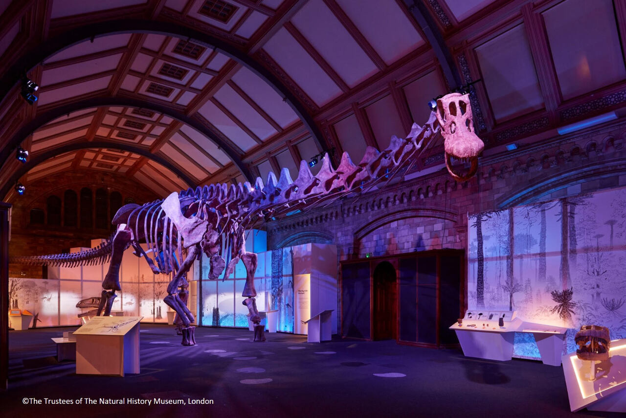 Dinosaurus Terbesar dalam Prasejarah, “Titanosaurus” akan Hadir di Taiwan bulan Desember