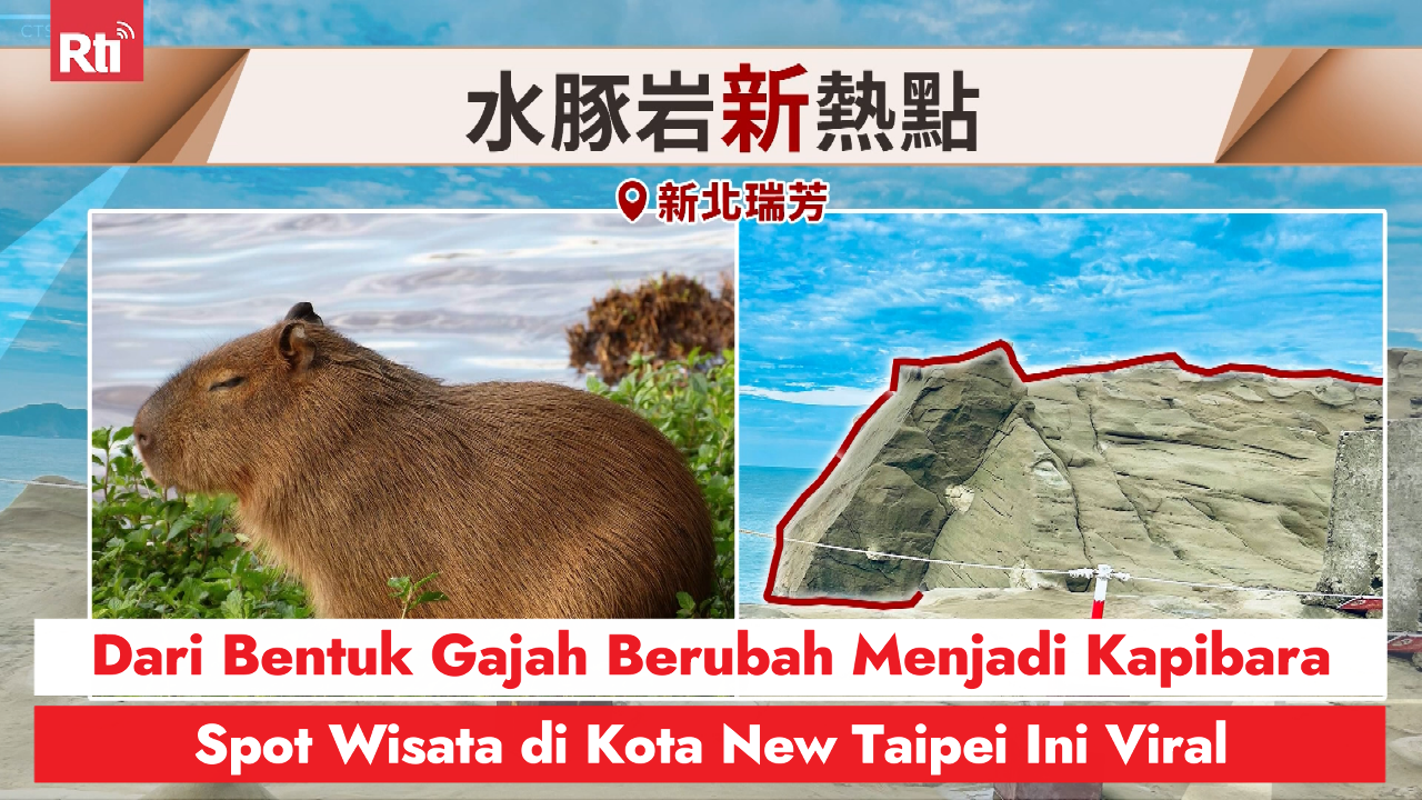 Dari Bentuk Gajah Berubah Menjadi Kapibara, Spot Wisata di Kota New Taipei Ini Viral