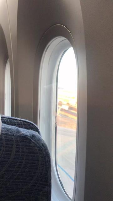 Alami Serangan Burung di Udara, Salah Satu Mesin Pesawat Boeing 787 Terbakar, Terpaksa Berputar-putar di Langit Sebelum Mendarat Darurat