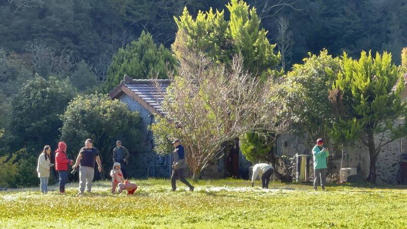 Suhu Mendekati Nol Derajat di Wuling Farm, Kristal Es Muncul Kembali, Turis Berangkat Pagi-pagi untuk Mengabadikan Momen Indah
