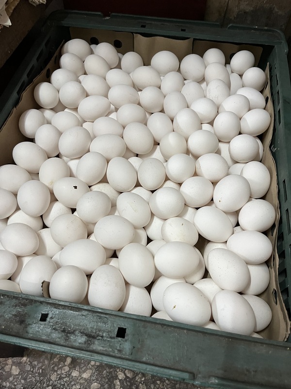 Emang Iya?! Mertua Masak Bubur dengan Telur Utuh, Menantu Khawatir Tidak Higienis tapi Malah Dimarahi: Cangkang Telur Mengandung Kalsium