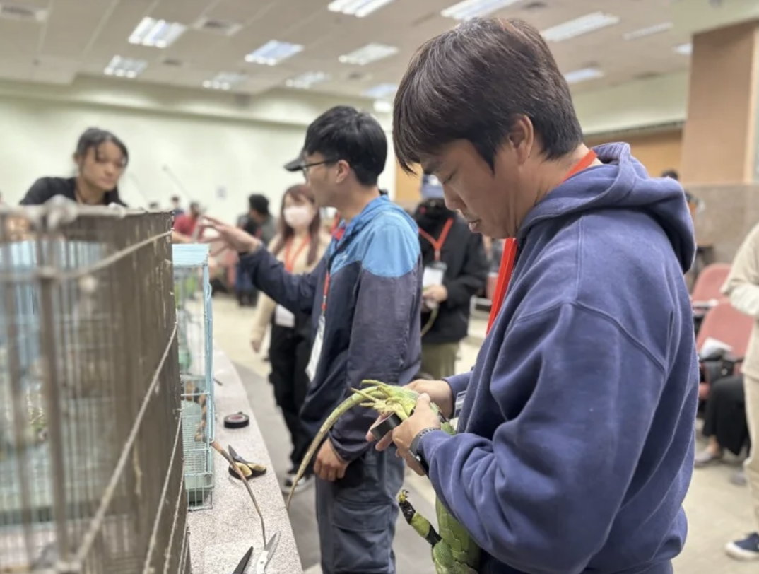 Kelas Pelatihan Penangkapan Iguana Liar di Kota Kaohsiung