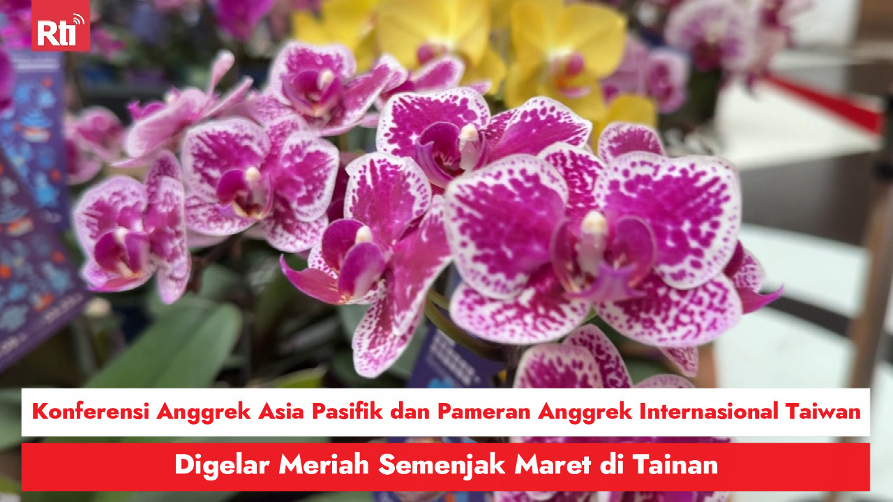 Konferensi Anggrek Asia Pasifik dan Pameran Anggrek Internasional Taiwan ke-38, Digelar Meriah Semenjak Maret di Tainan