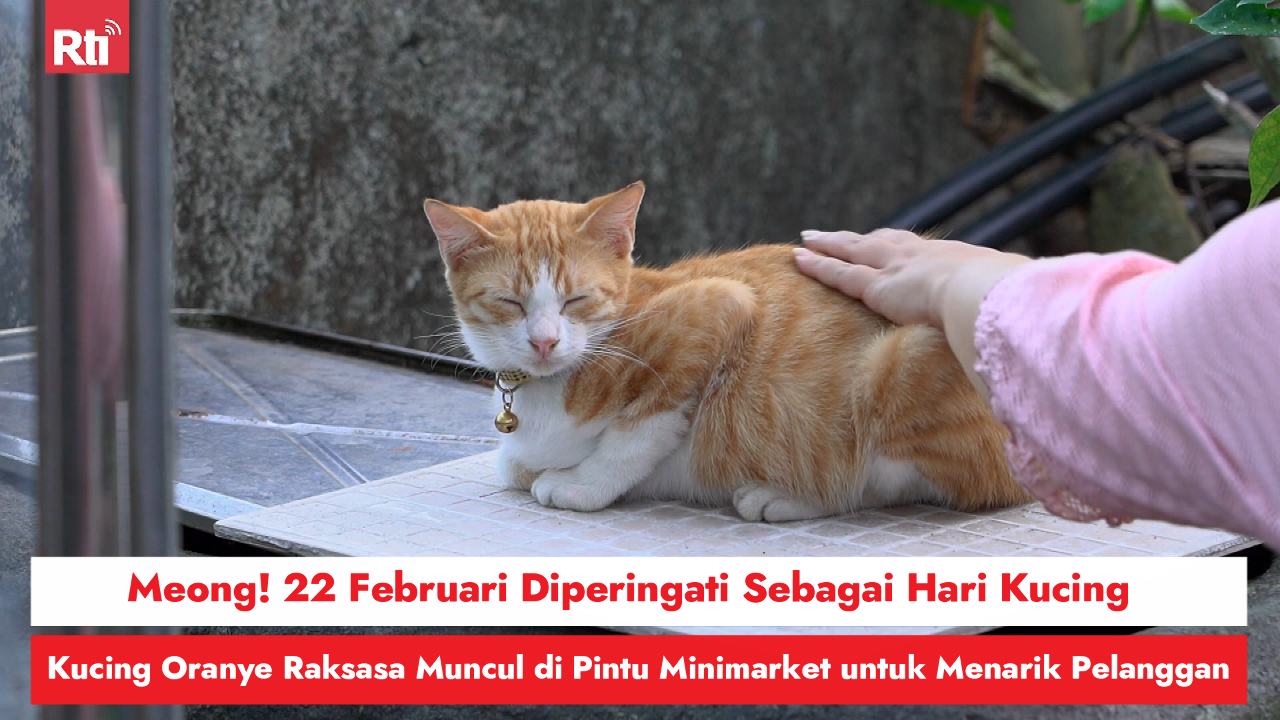 Meong! 22 Februari Diperingati Sebagai Hari Kucing, Kucing Oranye Raksasa Muncul di Pintu Minimarket untuk Menarik Pelanggan