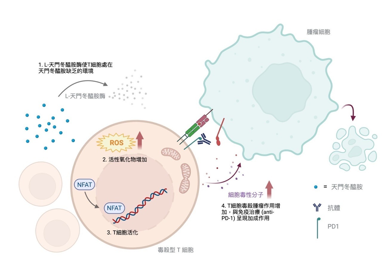 Pengobatan Medis Baru Lawan Kanker RS Chang Gung Diterbitkan di Nature Metabolism