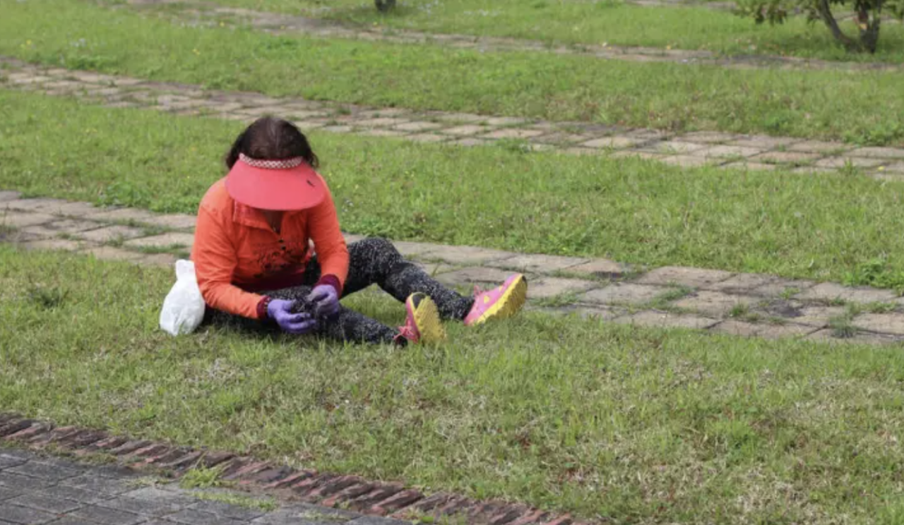 Cabut Rumput Liar Bisa Menghasilkan Uang? 1 Kati Seharga NT$2500