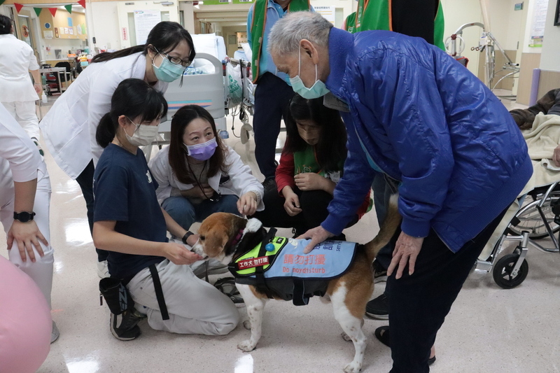 Humantek 020125: Anjing Liar di Taiwan Tengah Dilatih untuk Menemani Lansia
