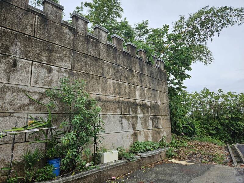 Ular Besar 2 Meter Memanjat Tembok Tinggi dan Mengintip dari Jendela Lantai 2, Pemilik Rumah di Tainan Terkejut