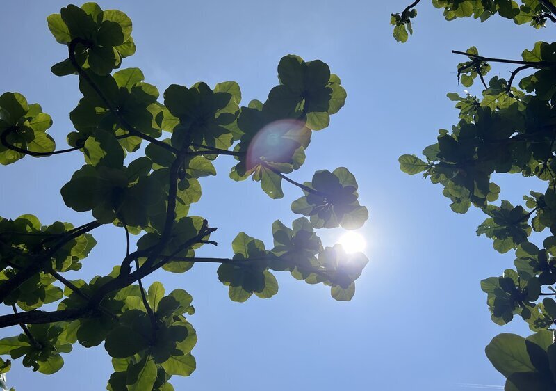 Angin Fohn Kering Kembali Panaskan Taitung di Sore Hari, Suhu di Taimali Tembus 39,2°C