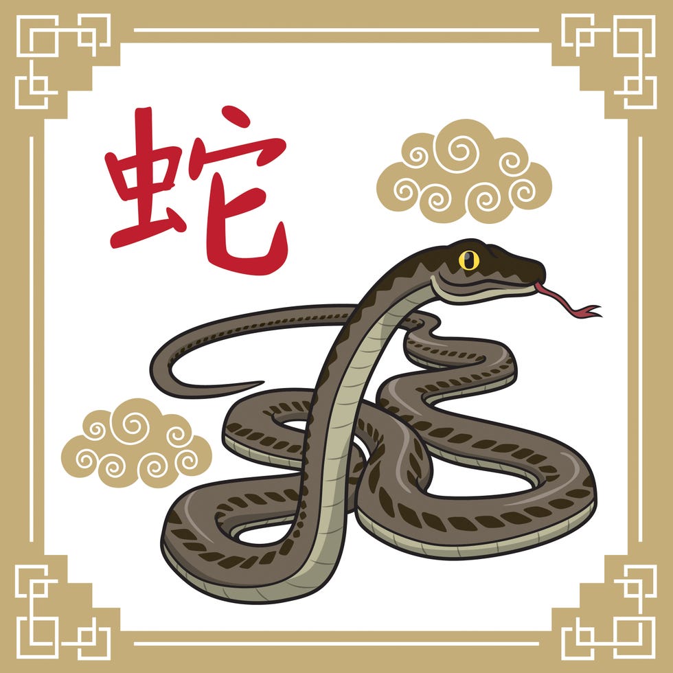 vector illustration year of the snake, the 12 chinese horoscope animals isolated on white background chinese calendar or chinese zodiac sign concept cartoon characters education and school kids coloring page, printable, activity, worksheet, flashcard