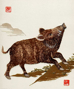 属猪人2024年整体运势2024年生肖猪运势详解