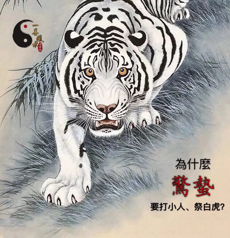 驚蟄祭白虎打小人